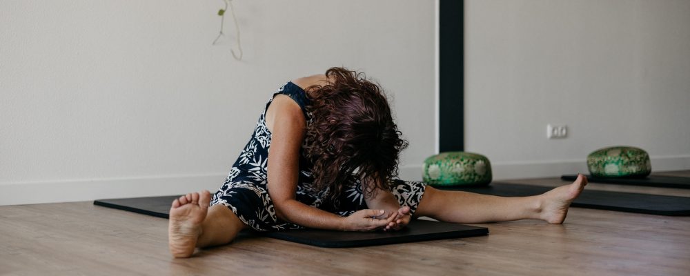 dragonfly yin yoga opleiding