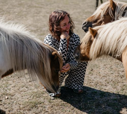 Paarden-gevoel-jezelf-zijn